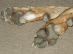 Geraldine's feet